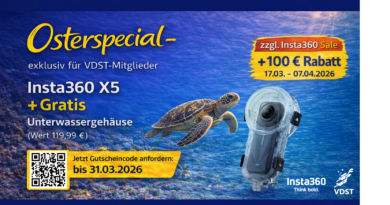 Virtuell abtauchen – VDST startet Partnerschaft mit Insta360